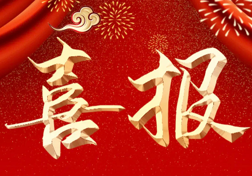 蘇中建設榮列2022中國企業500強第393位